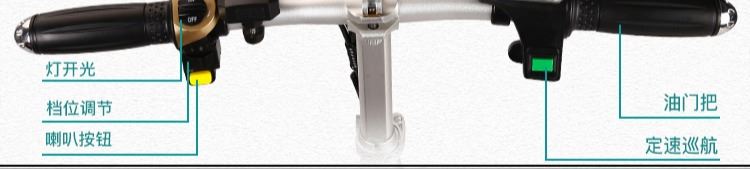 12/14 inch gấp xe đạp điện dành cho người lớn pin lithium vua pin nhỏ tài xế lái xe kho báu đặc biệt - Xe đạp điện xe may dien