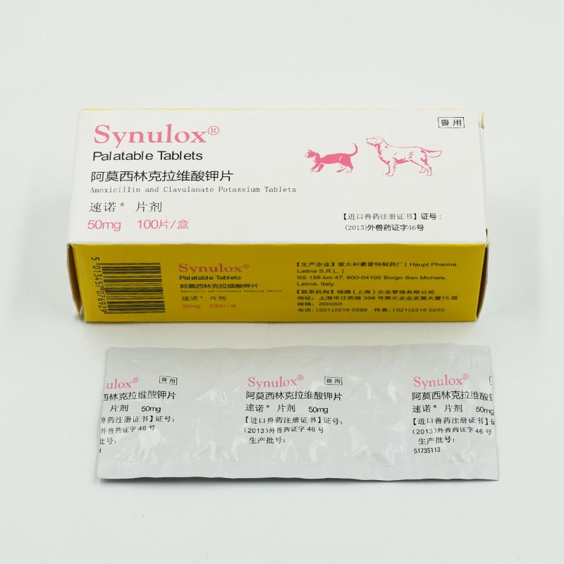 Thú cưng mèo Sylvia thuốc cảm lạnh mèo mũi xoang viên chó mèo da bệnh viêm miệng 50mg10 - Cat / Dog Medical Supplies xi lanh thú y