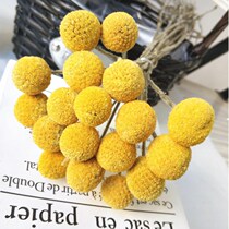 Natural air-dried real flower golden ball dried flower bouquet Home bedroom Restaurant Clothing store pylons Decoration gifts