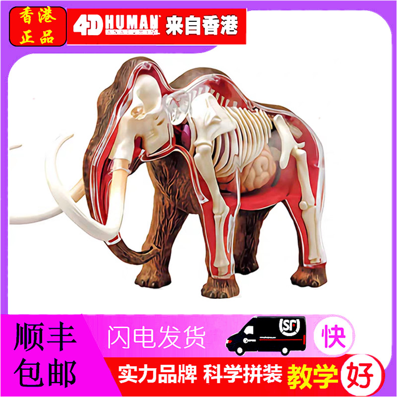 4D MASTER益智拼装玩具仿真动物生物猛犸象器官解剖模型医学教学
