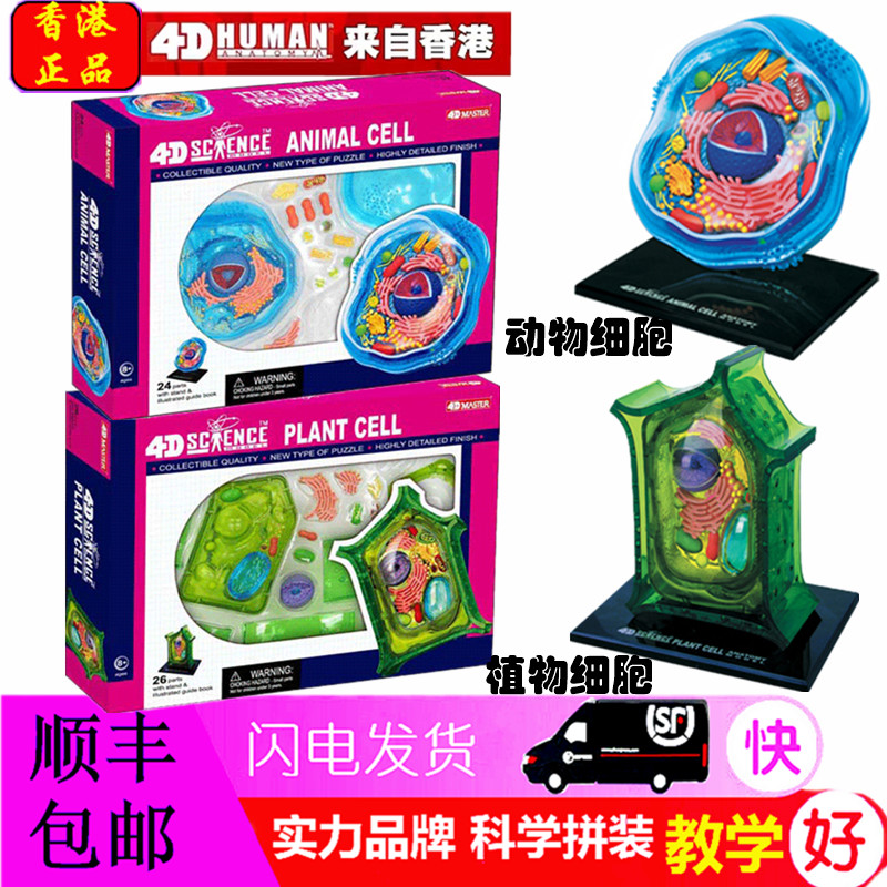 正品4D MASTER 益智玩具 4d master 植物模型 植物细胞拼装模型