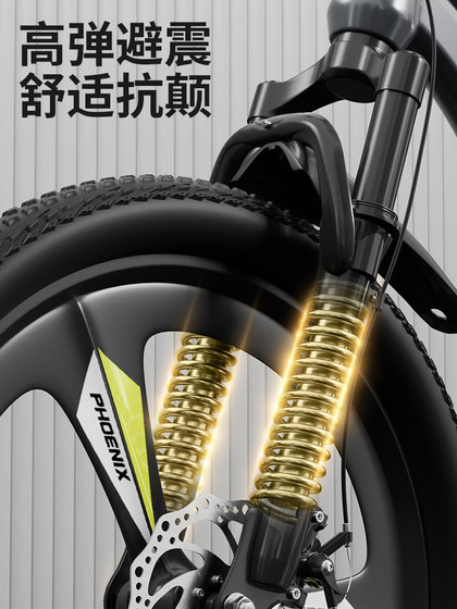 凤凰儿童自行车女孩6-12岁青少年中大童男孩山地变速学生20寸单车