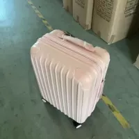 X Pink Daily Single Alexer