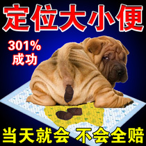 That night the dogs fixed-point defecation inducer artifact goes to the toilet pet toilet trainer dog does not poop pad