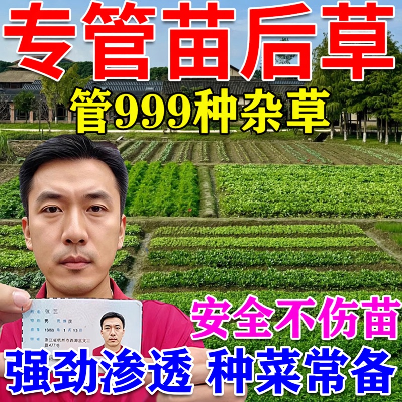 Specialized Post-Planting Weed Killer for Vegetable Fields, Corn Fields, and for Removing Dead Grass from Sweet Potatoes and Sesame Plants Without Damaging the Seedlings, and for Quickly Eliminating Reeds
