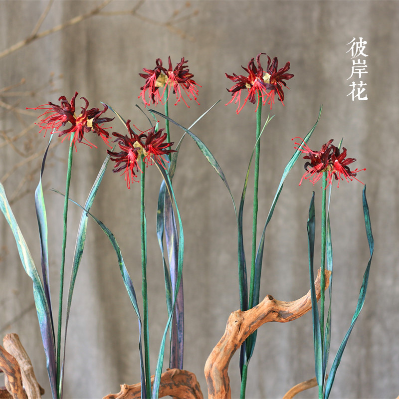 (Bana) Handmade natural plant material Environmental protection art dried flower Home decoration Dried flower Bana