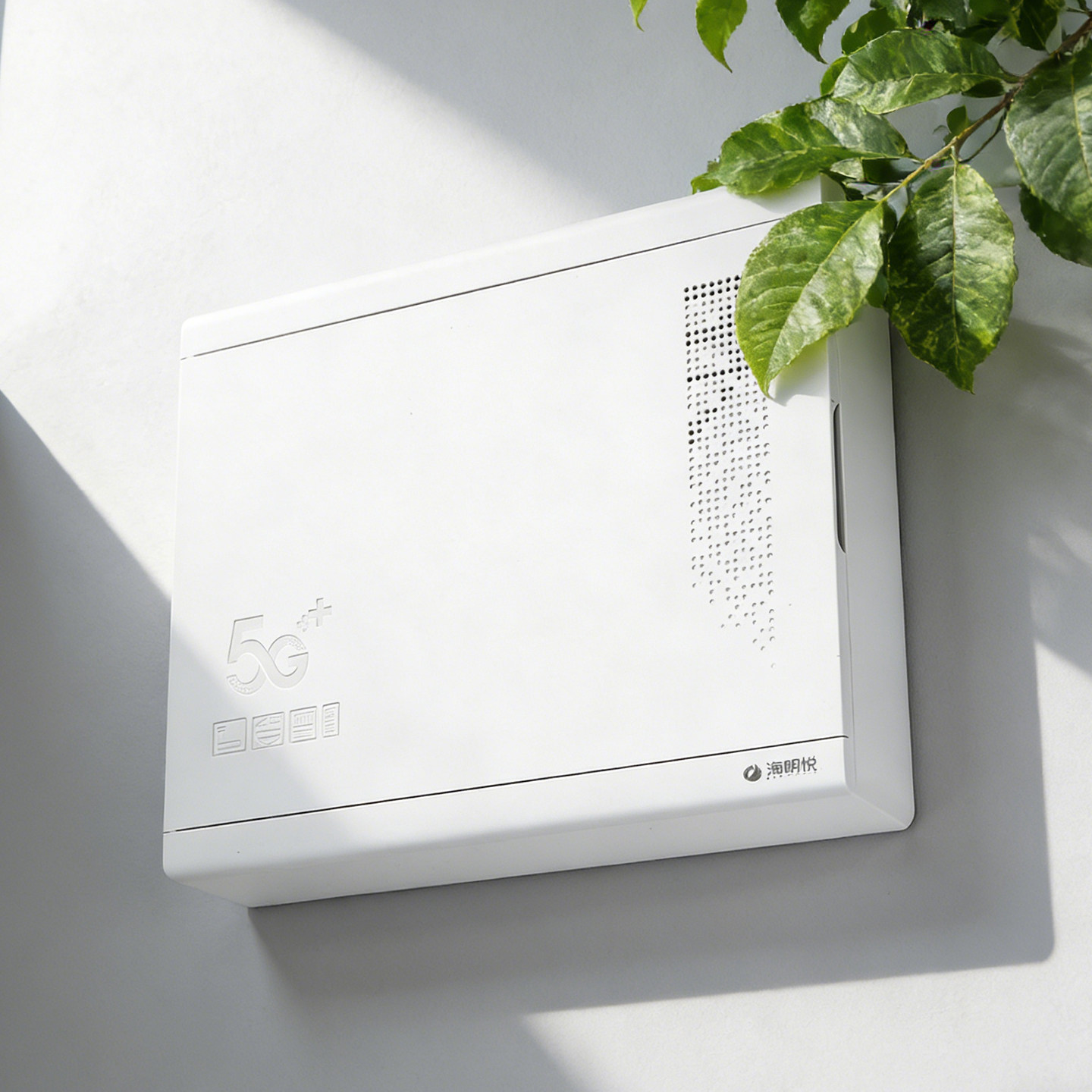 Surface-Mounted Weak Current Box, Home Multimedia Information Box, Module Box, Network Distribution Box, Network Cable Box, Fiber Optic Entry Box