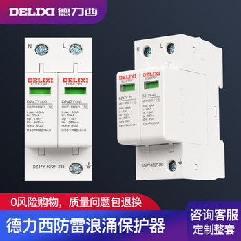 DELIXI ELECTRIC 2P20Ka/40Ka/65Ka Surge Protection Device