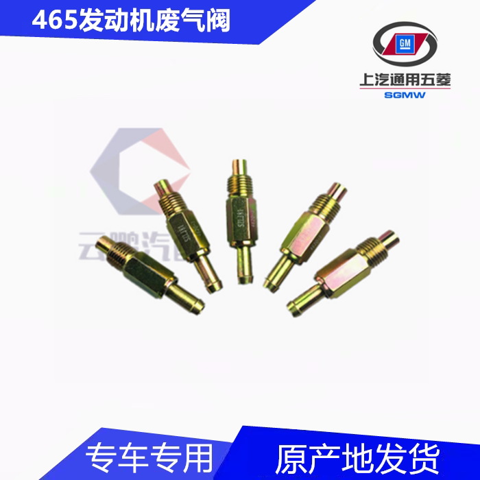 Fitsubishi Light Changan Star 462 465 One-way Valve PVC Valve Glory Glory B12