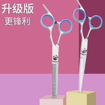 6-inch Yang tooth scissors flat-cut hairdressing scissors home hair scissors set hair cutting scissors Yang brand scissors great deal