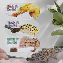 Highly imported reptile gel feed insect formula BAO WEN gecko fruit puree lion mane eyelash R genus lizard food
