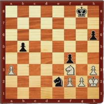 Chess Chinese teaching national junior team layout middle game endgame training tactics and strategies