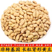 Old variety kidney-shaped soybeans 500g non-GMO farm-grown small soybeans sprouts and made into soy milk