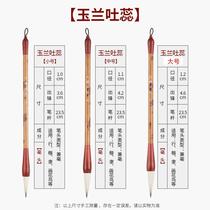 Wei Zhuang Jianhao student running script official script regular script brush training class calligraphy for beginners adult calligraphy wholesale