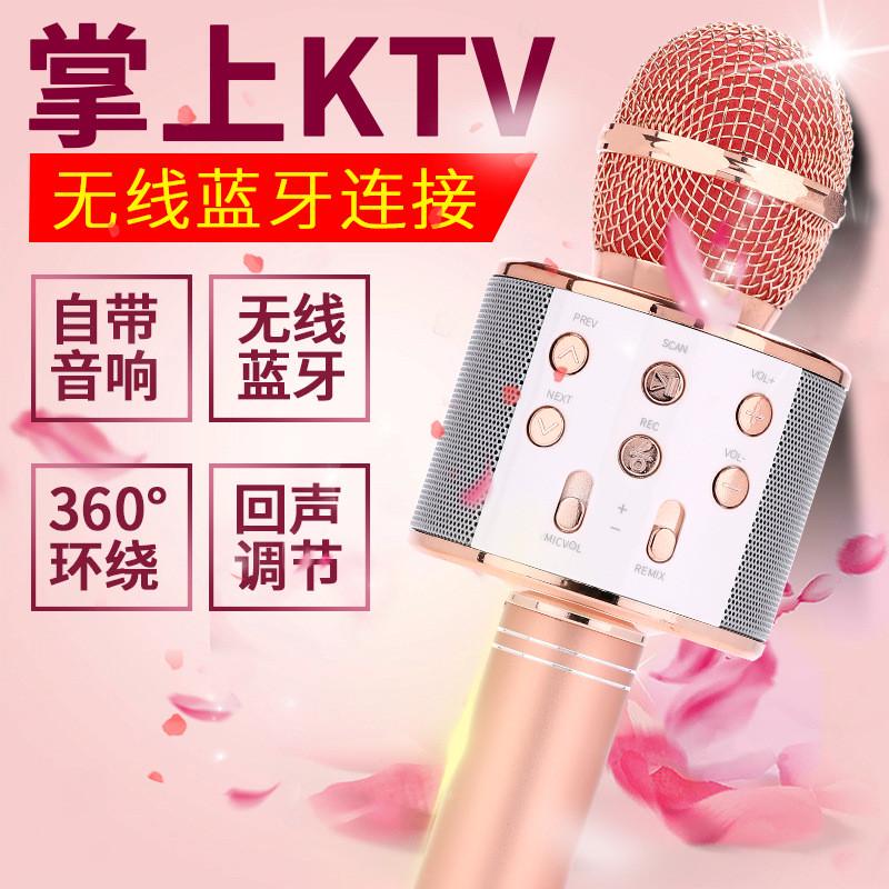 Ws858L Bluetooth Microphone 858 with Light, Mobile Karaoke Microphone, Home Integrated Speaker, Karaoke Device, Factory Direct Delivery