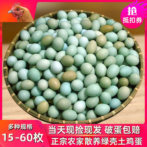 60 green-shell mountain eggs, 40 fresh black eggs, 40 authentic farmhouse free-range eggs, 15 rural eggs