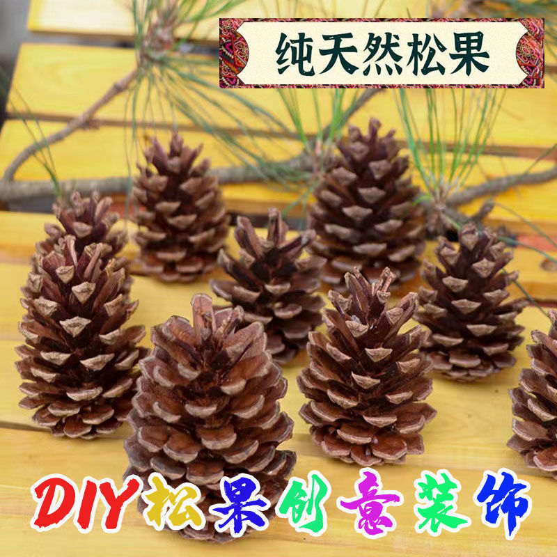 Natural Pine Nuts Pine Tassel Pine Nuts Christmas Decorations Pendulum Nursery Handmade Pine Fruit Painting Decorated With Wild Pine Nuts-Taobao