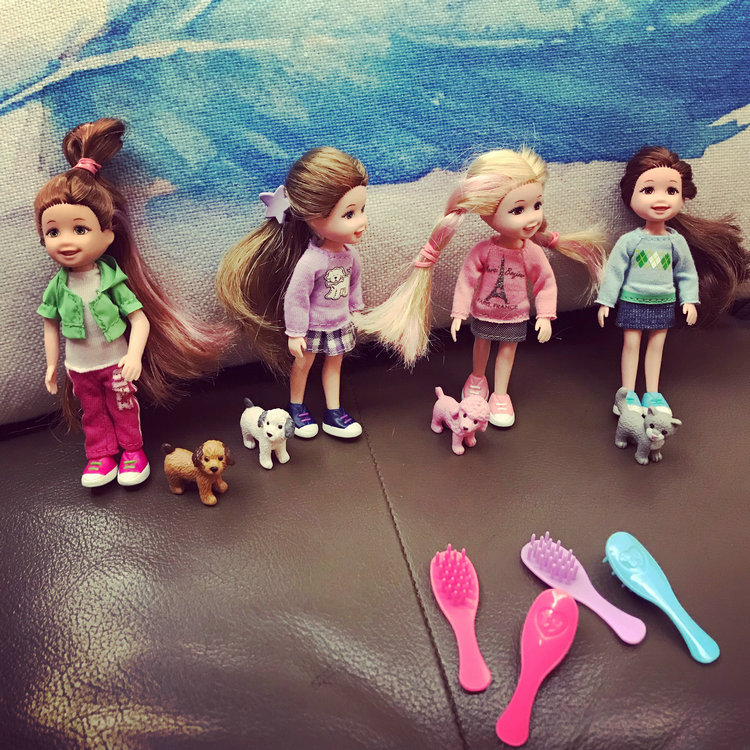 Export original cute dream girl doll pocket doll with cute pet and comb foreign difficult to buy