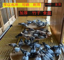 Pigeon racing pigeon food trough large food plate pigeon equipment pigeon medicine pigeon food foot ring card feeding food food
