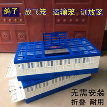  Pigeons carrier pigeons supplies folding cages pigeon training cages pigeon training cages flying cages champion reporting cages