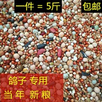  Class A pigeon food Corn-free young pigeon feed Bird food Carrier pigeon ornamental meat pigeon food Pigeon health sand young pigeon food