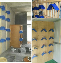  Carrier pigeon supplies Pigeon racing utensils Solid wood perching rack Plastic perching rack Pigeon standing rack Rest rack Perching flying cage