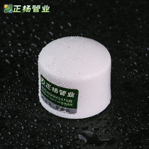 Zhengyang PPR PPR PPR PPR PPR PPR Fitting Coupling Coupling Coupling