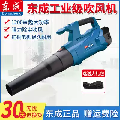 Dongcheng hair dryer FF-32 25 high-power dust removal Household small blower computer cleaning powerful vacuum cleaner