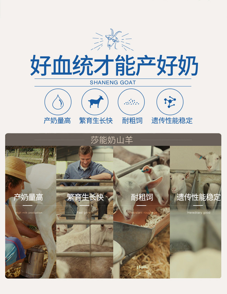 小神价 荷兰进口 风车牧场 3倍原生高钙羊奶粉 400g 图8