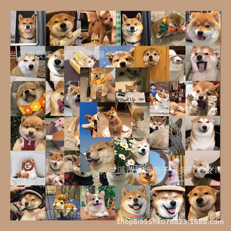 55 cute Kokki Diesel Stickers cute expression bag suitcase computer sticker skateboarder material waterproof