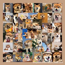 55 photos of cute kirchai dog stickers cute expression bags suitcases Computer stickers Skateboard Handbill Material Waterproof