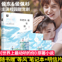  Genuine spot You have sweetened the wind Anwan big fish culture series Genuine first love campus love High sweet pet Wen Chuai Huanmeng youth literature Romance novels School grass small milk dog cp pure love novel small book