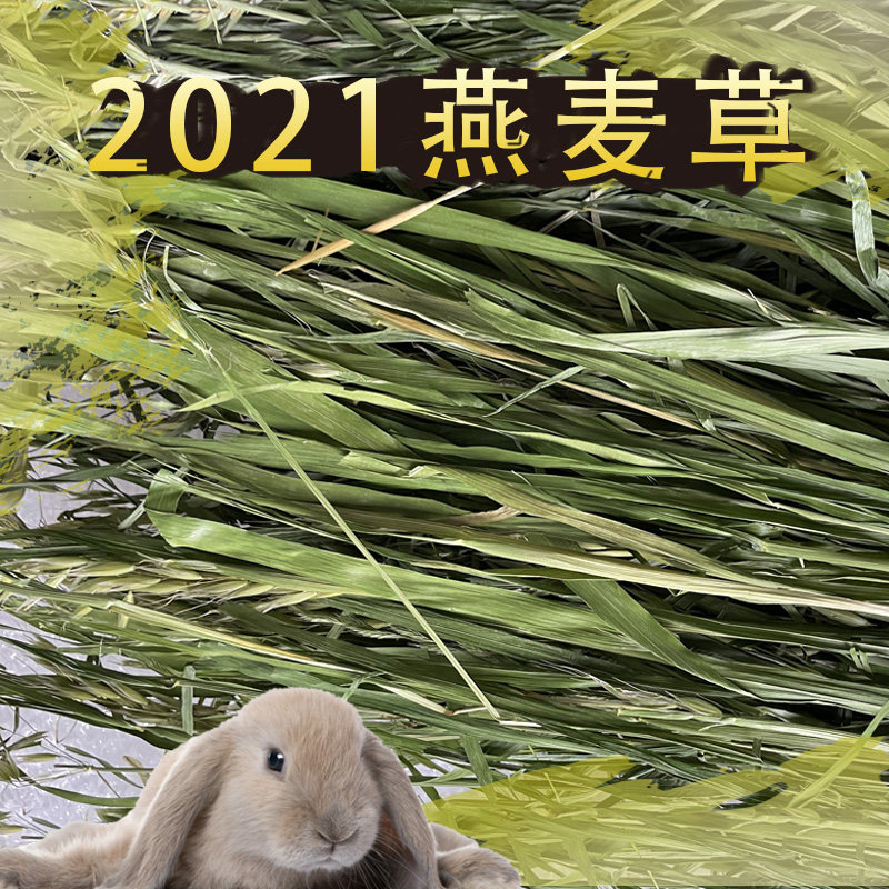 2021 dried oat hay Hay rabbit ChinChin guinea pig pasture 500g wheat grass hay