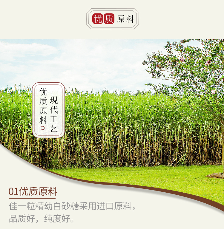 佳一粒 精幼白砂糖 454g 图3
