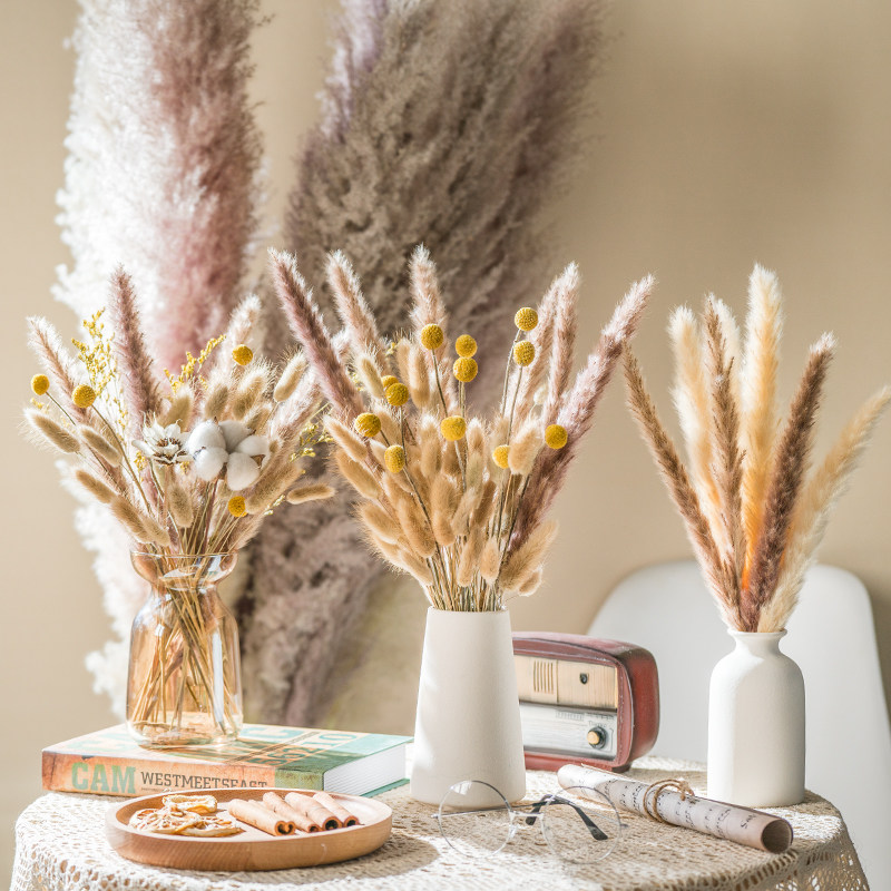 Nordic wind reed dry rabbit tail in sexually cold flower bouquet Yunnan real hua refreshing home decoration photo