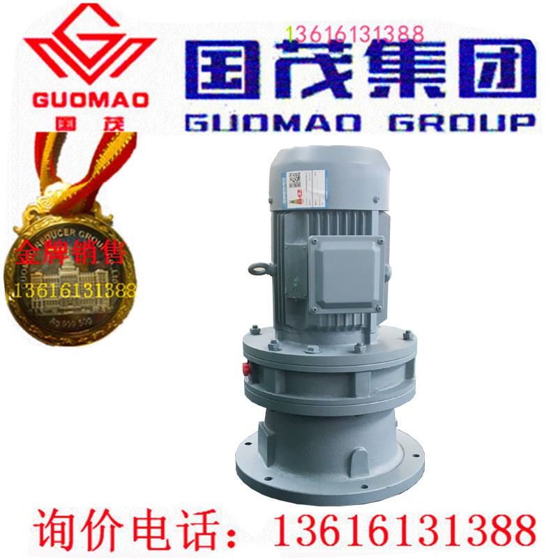 Jiangsu Changzhou Guomao Vertical Cycloidal Pin Wheel Reducer ITC Box BLD3-9-Y11