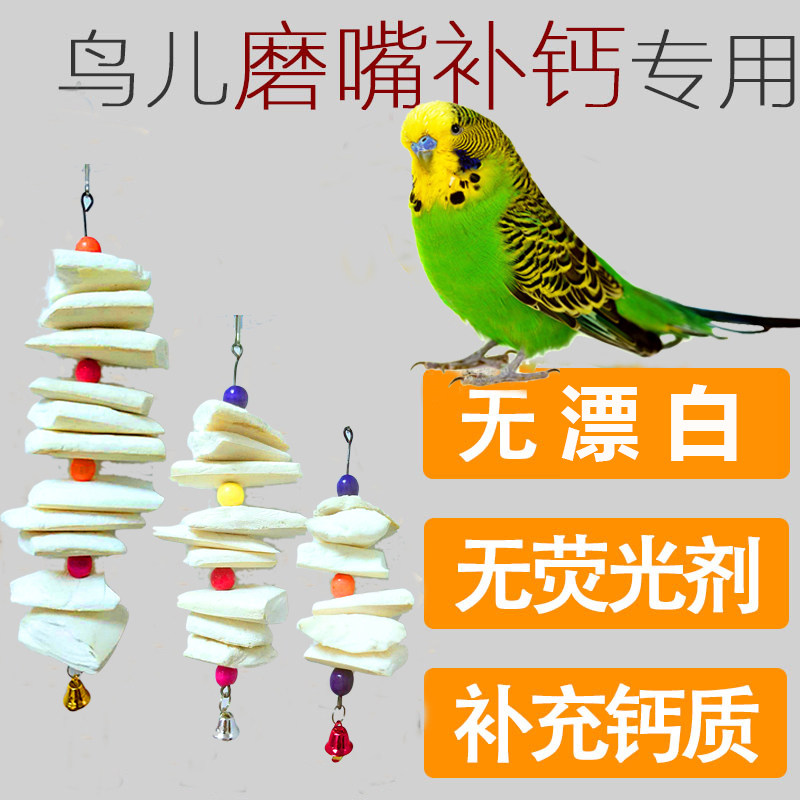 Cuttlefish bone, phoenix, tiger skin, peony parrot, calcium supplement, molar supplies, utensils, bird food, squirrel, turtle, string, chewing toy