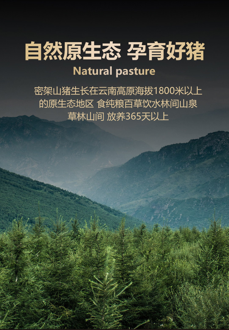 安享好物 安享S级猪油-密架山猪猪油 国标 