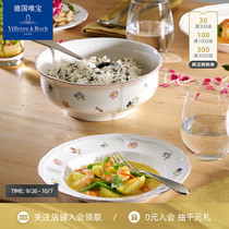 villeroyboch German Vipo imported dishes European dishes dishes dishes home home personality fresh red small garden