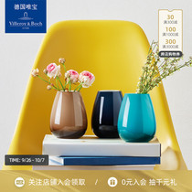 villeroyboch German treasure simple Vase ornaments living room flower arrangement art home wild art mini