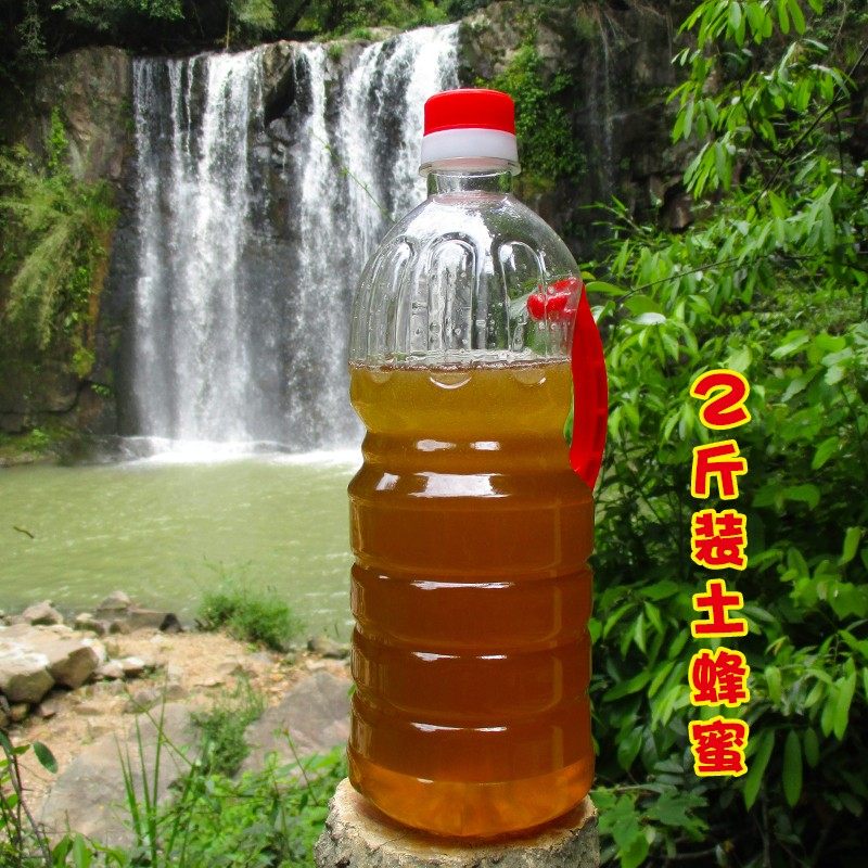 Guests specially produce 2 kg of bee ecological soil honey from natural mountain farmers