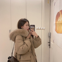 (Please drink double spelling Bobo) Mushroom mushrooms are a bit sweet this winter?