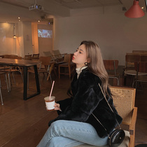 (Rabbit attack) Mushroom mushroom gentle temperament rabbit rabbit is what fur should look like