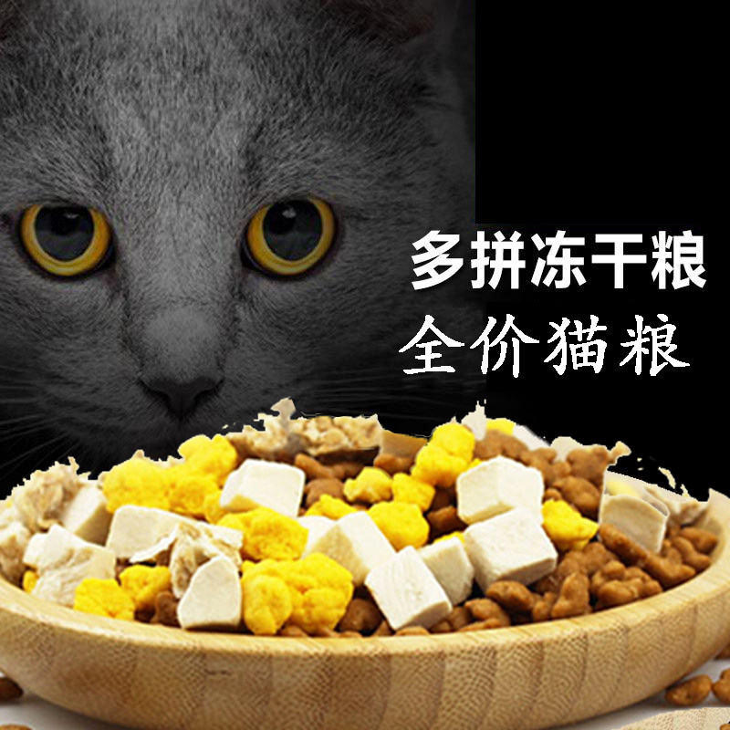 铲屎官必看！网易严选猫粮，性价比之王？绝不踩雷的养猫神器！