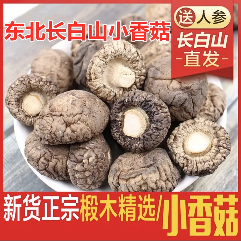 Northeast special wood nonwild special bulk bulk mushroom nutritional mushroom 500g Changbai Mountain money mushroom