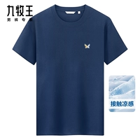 Стандартное издание + темно -синий + tt2ev2a160