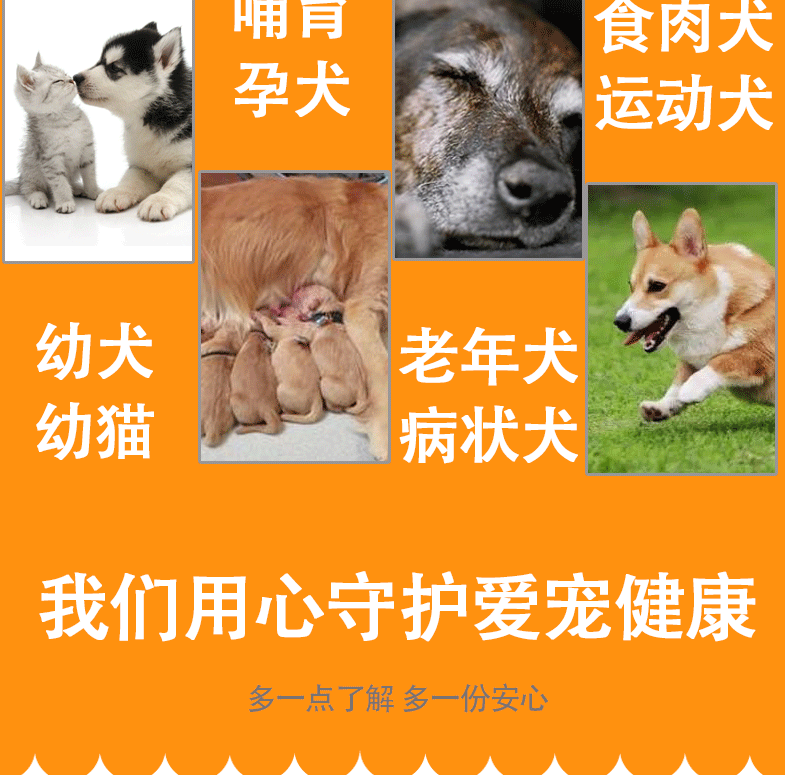 心 Đồ dùng cho thú cưng Mèo mèo Sữa canxi Xương chắc khỏe Canxi cương cứng chân sau tăng yếu 200 viên - Cat / Dog Health bổ sung sữa predogen