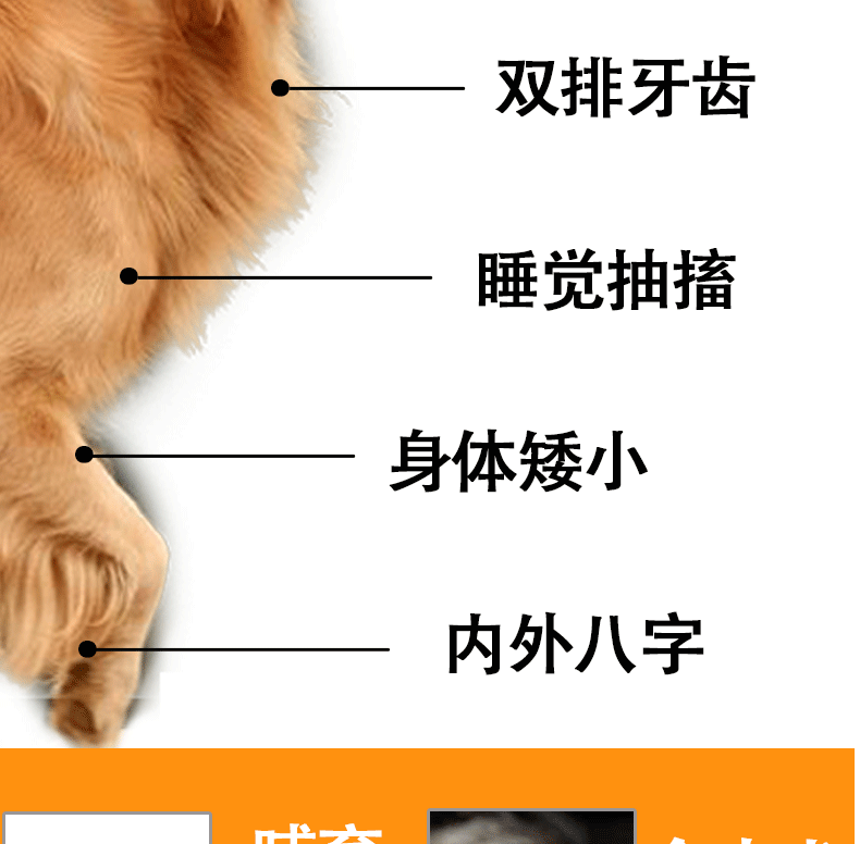 心 Đồ dùng cho thú cưng Mèo mèo Sữa canxi Xương chắc khỏe Canxi cương cứng chân sau tăng yếu 200 viên - Cat / Dog Health bổ sung sữa predogen