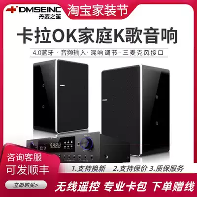 DMSEINC 908K black white professional home KTV audio set karaoke speaker 8 inch card bag K song