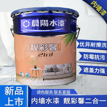 Chenyang Water Paint Healthy and Pure-taste Environmentally friendly wall paint home with water latex paint